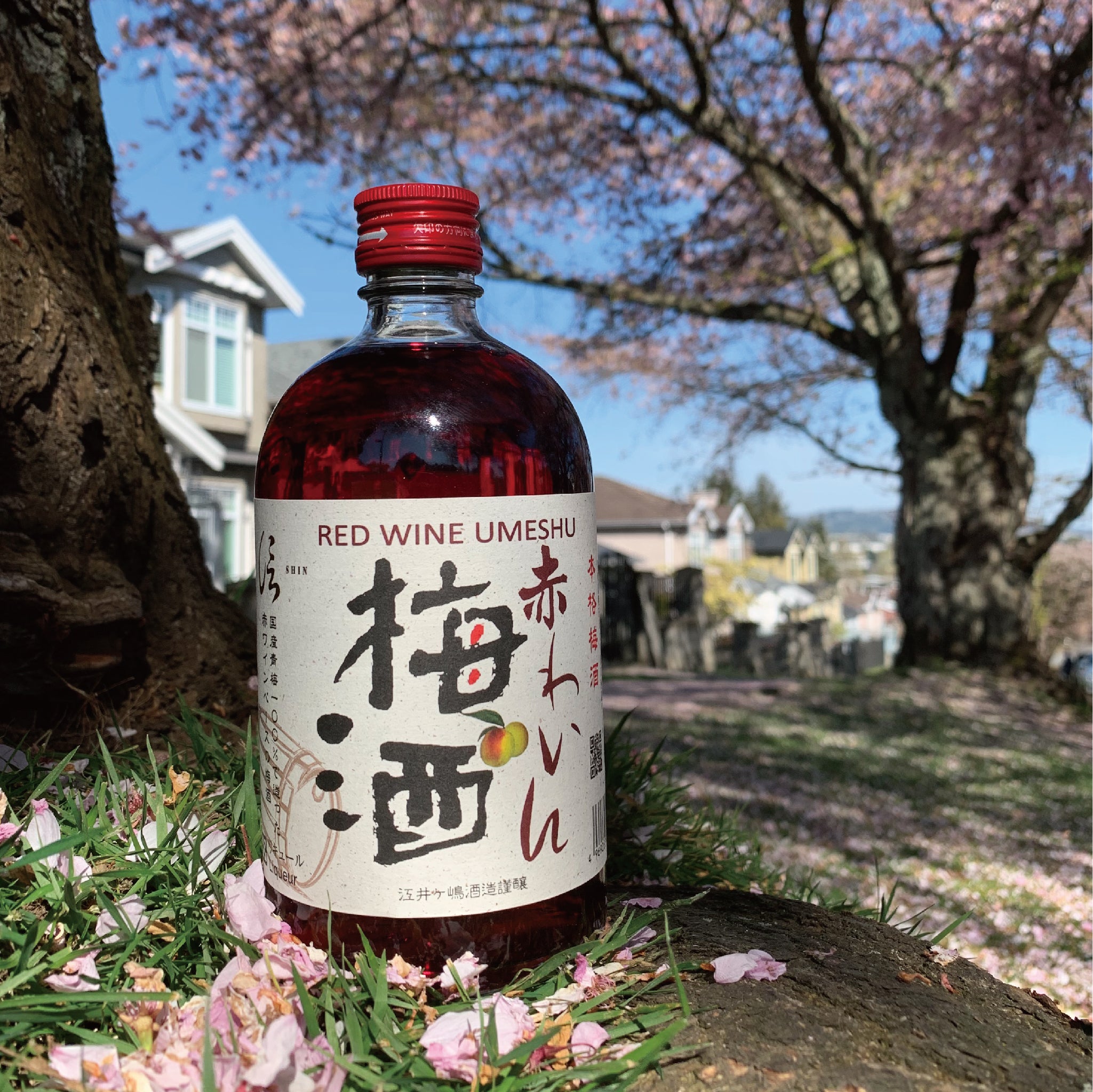 SHIN RED WINE UMESHU