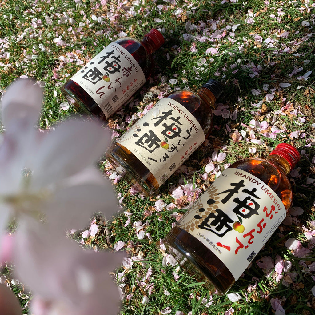 Shin Brandy Umeshu